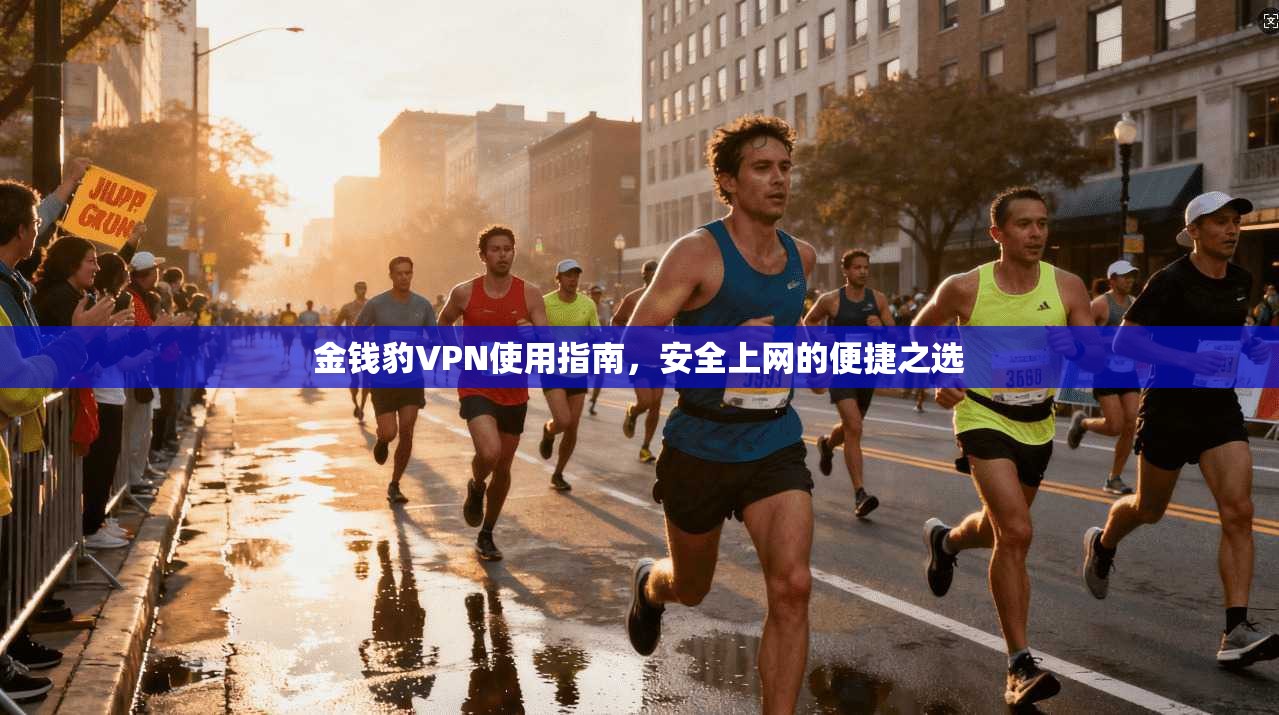 金钱豹VPN使用指南，安全上网的便捷之选