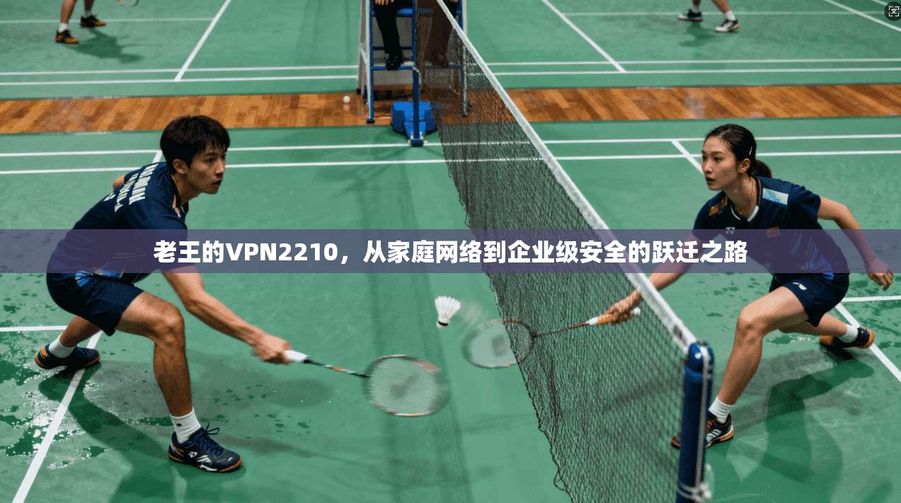 老王的VPN2210，从家庭网络到企业级安全的跃迁之路