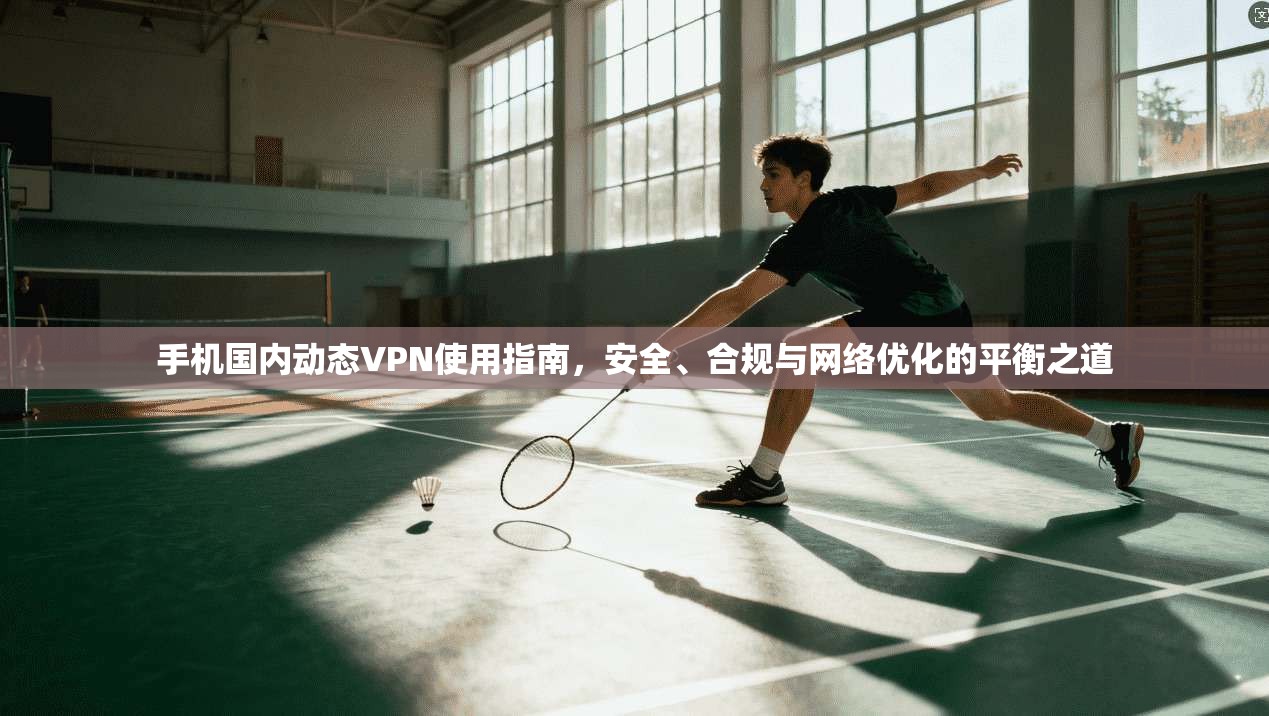 手机国内动态VPN使用指南，安全、合规与网络优化的平衡之道