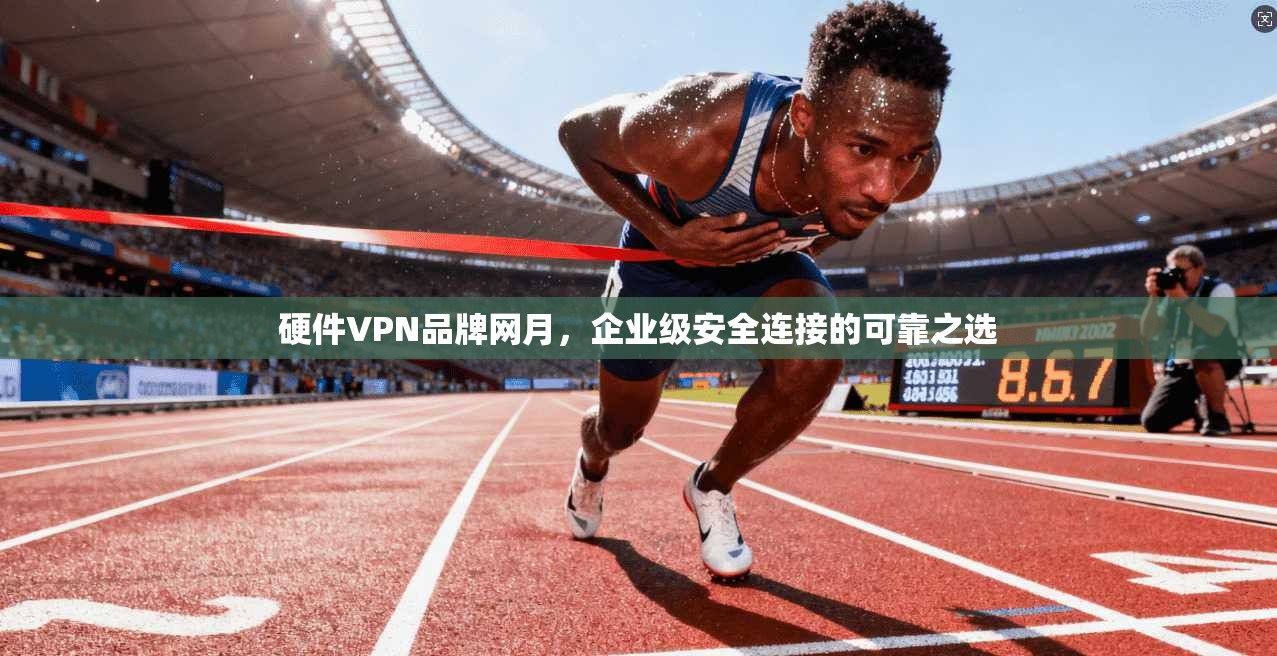 硬件VPN品牌网月，企业级安全连接的可靠之选