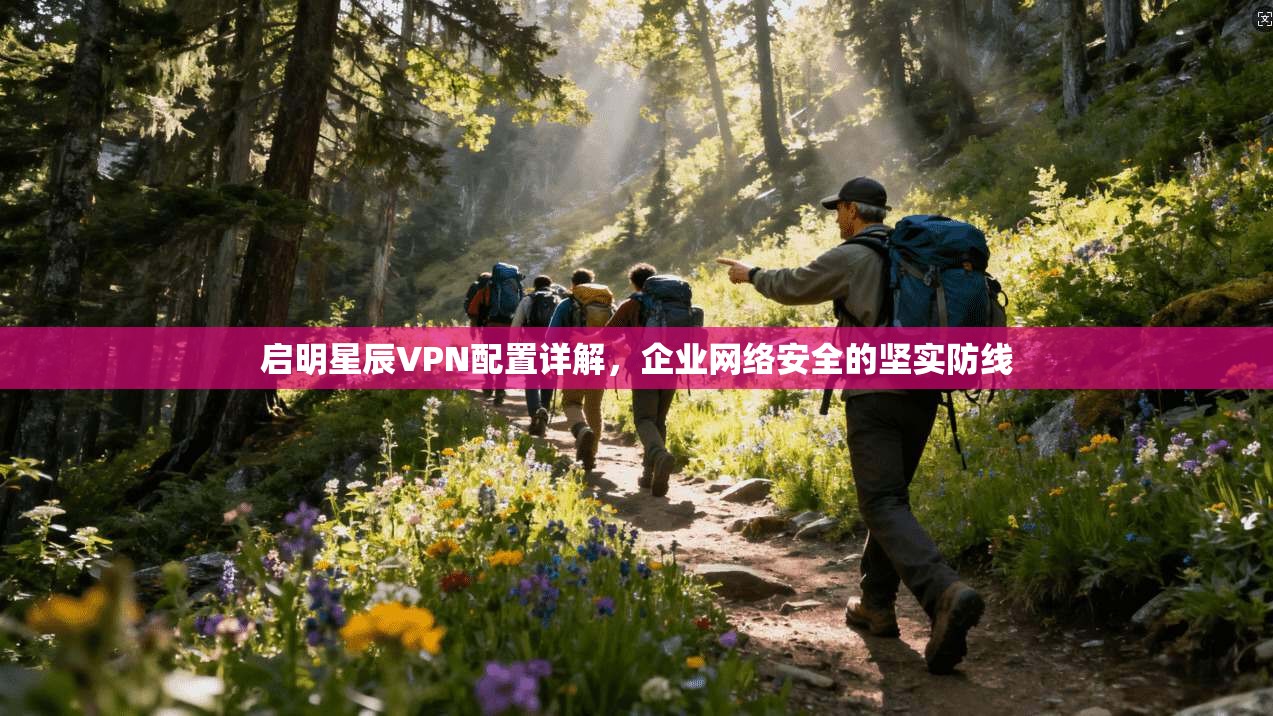 启明星辰VPN配置详解，企业网络安全的坚实防线