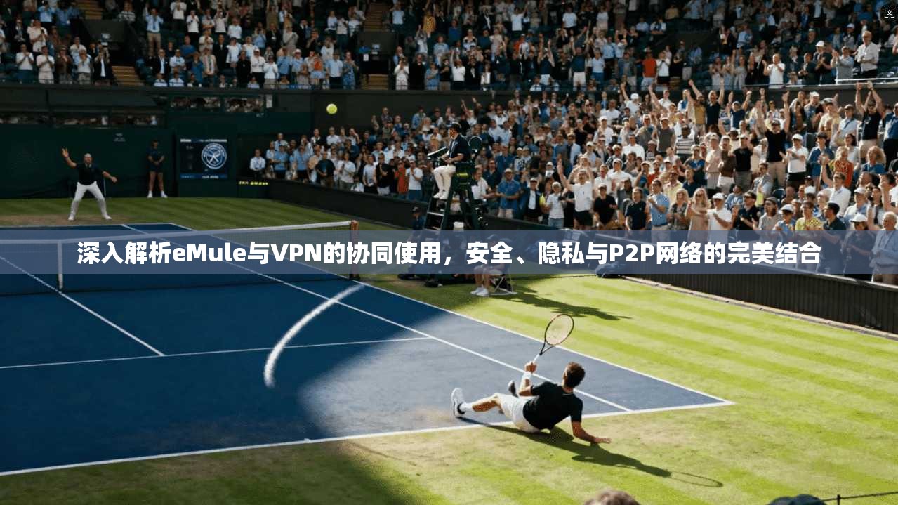 深入解析eMule与VPN的协同使用，安全、隐私与P2P网络的完美结合