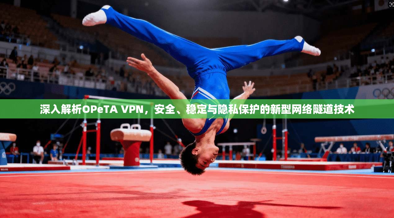 深入解析OPeTA VPN，安全、稳定与隐私保护的新型网络隧道技术