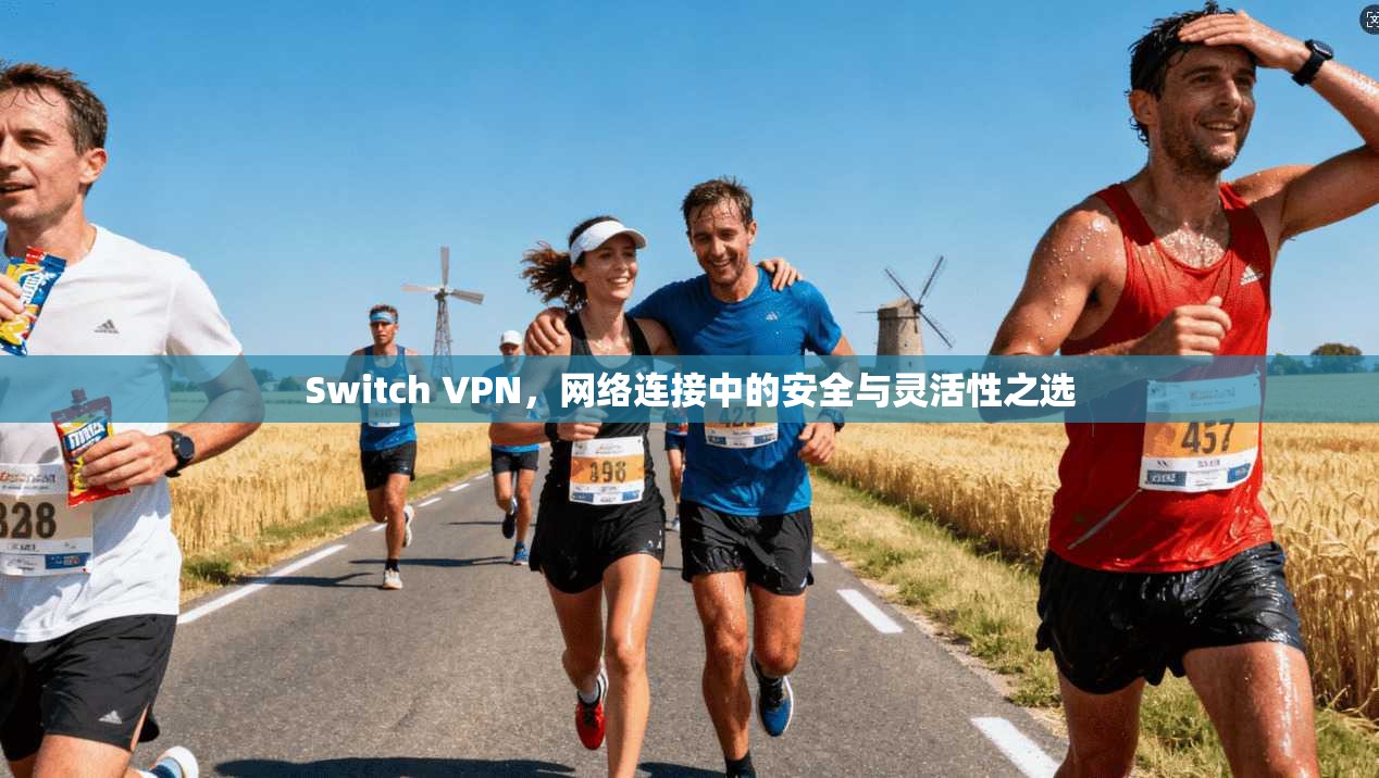 Switch VPN，网络连接中的安全与灵活性之选