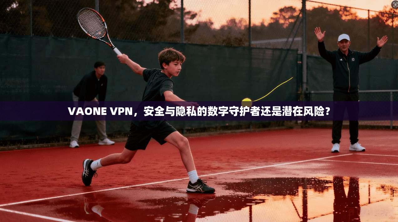 VAONE VPN，安全与隐私的数字守护者还是潜在风险？