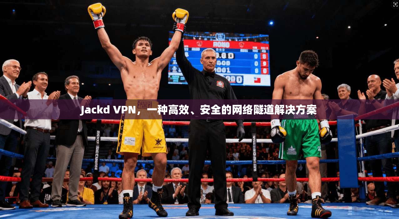 Jackd VPN，一种高效、安全的网络隧道解决方案