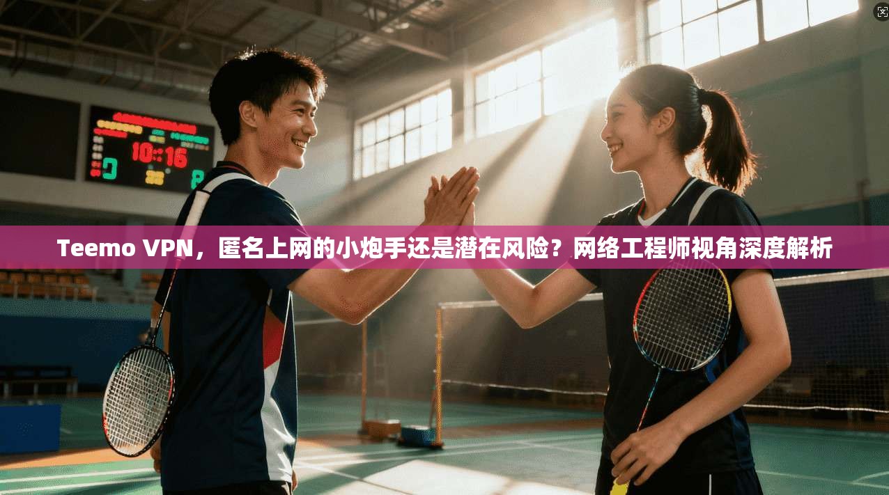Teemo VPN，匿名上网的小炮手还是潜在风险？网络工程师视角深度解析