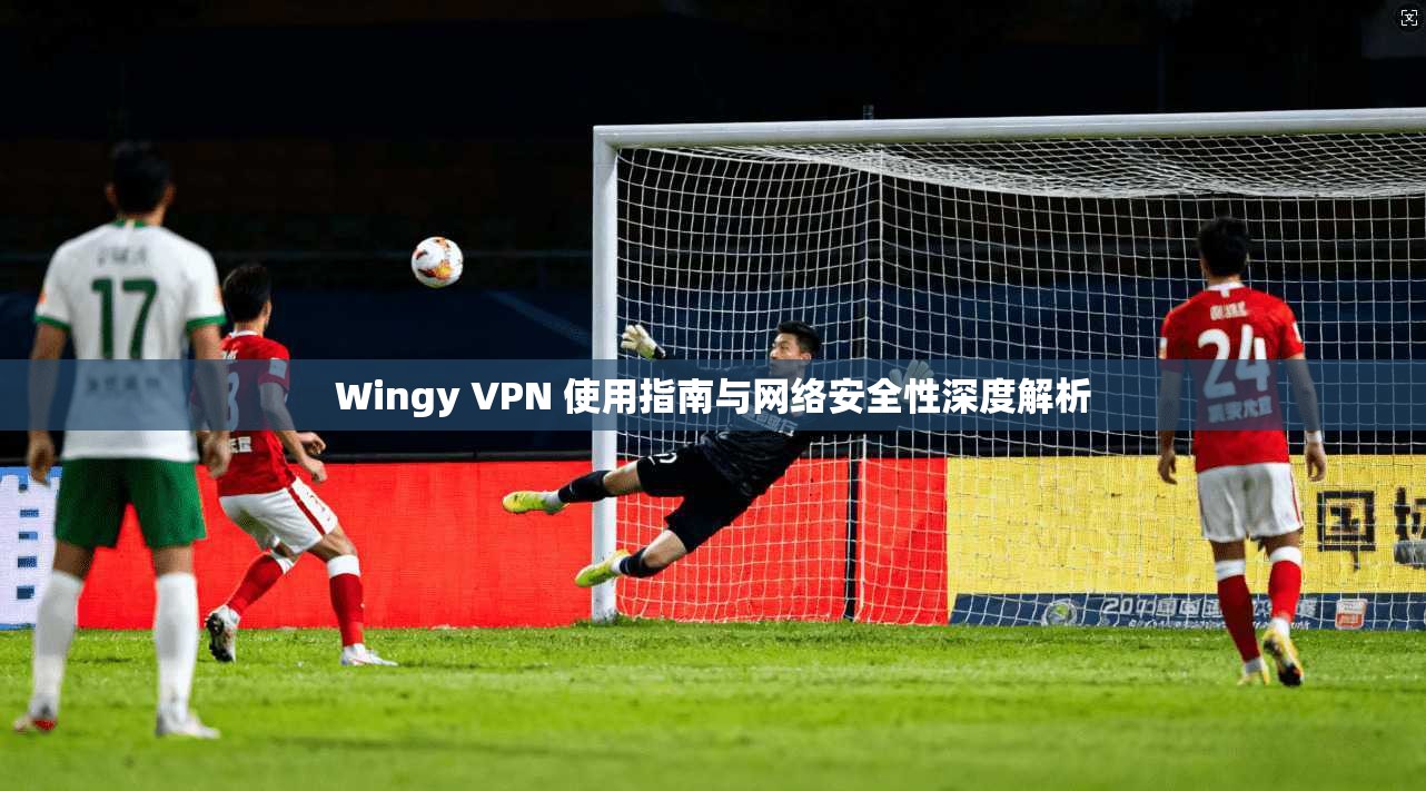 Wingy VPN 使用指南与网络安全性深度解析
