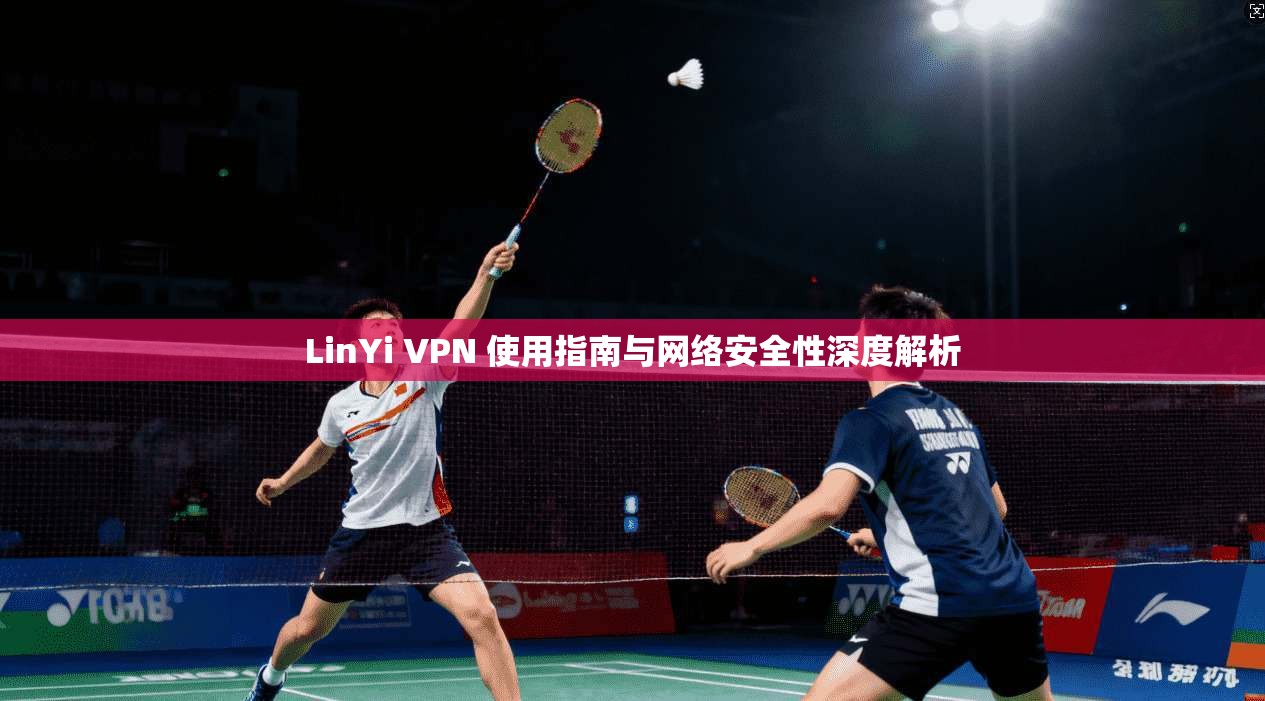 LinYi VPN 使用指南与网络安全性深度解析