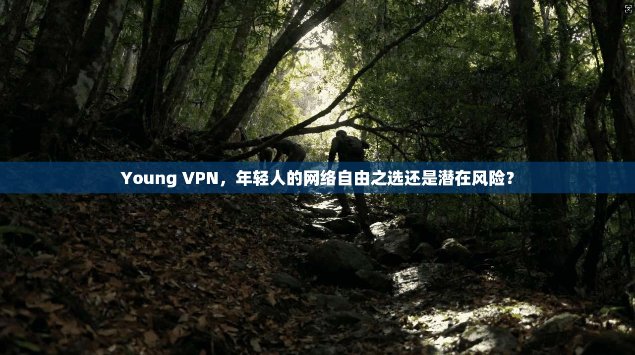 Young VPN，年轻人的网络自由之选还是潜在风险？