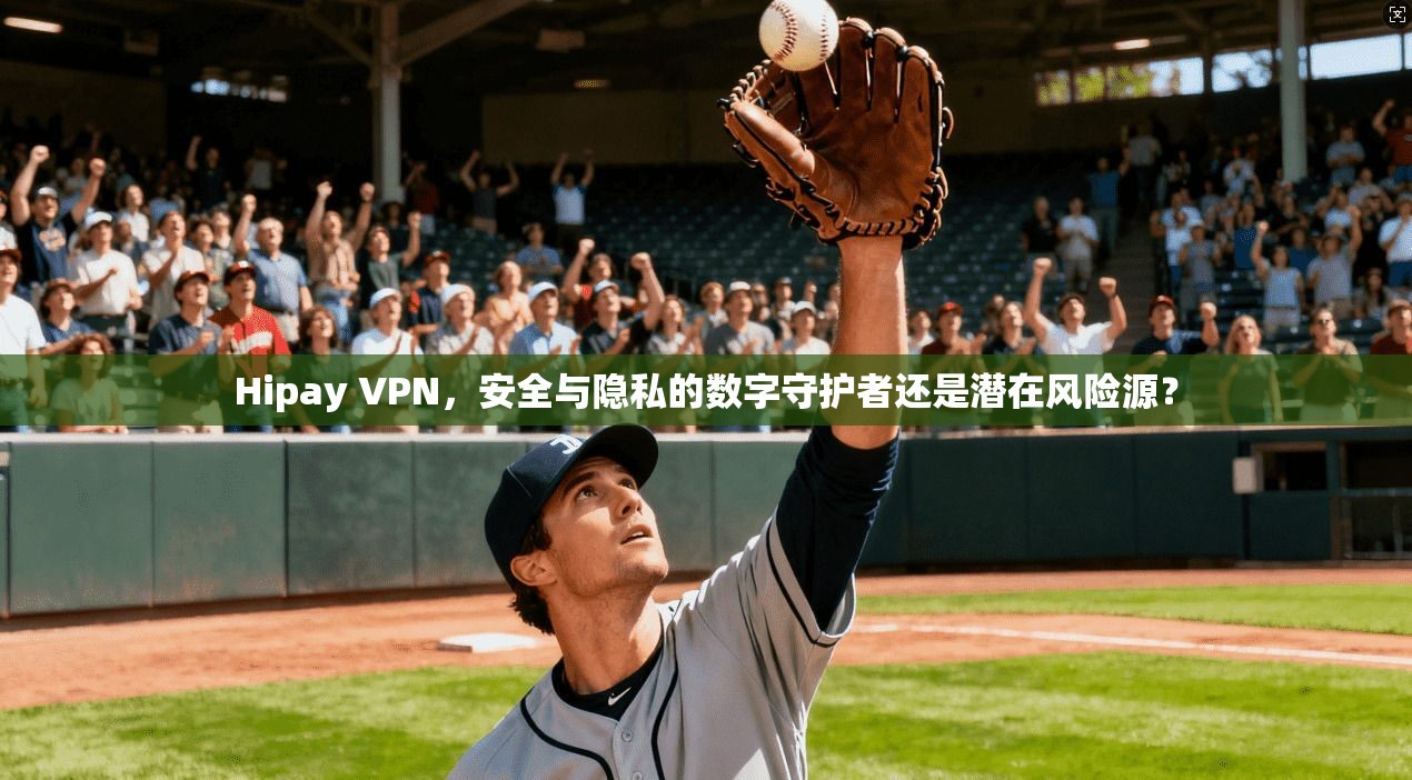 Hipay VPN，安全与隐私的数字守护者还是潜在风险源？