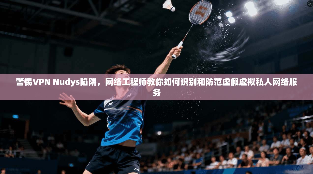 警惕VPN Nudys陷阱，网络工程师教你如何识别和防范虚假虚拟私人网络服务