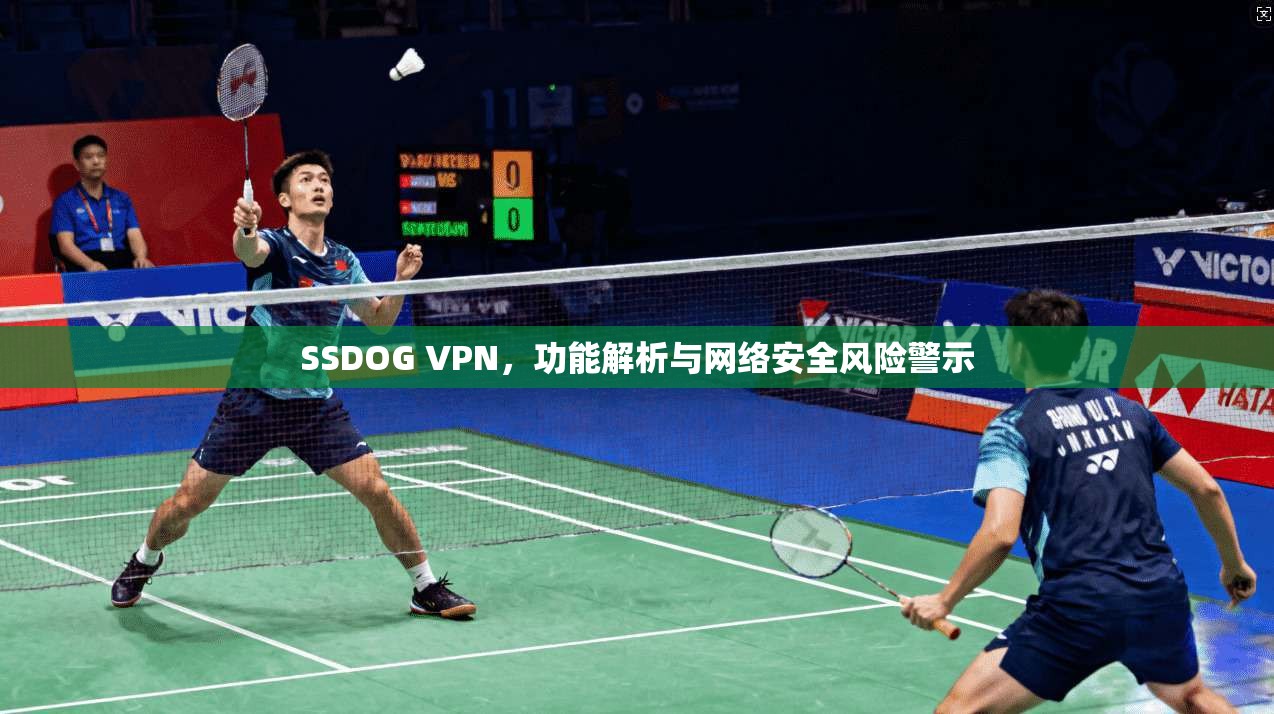 SSDOG VPN，功能解析与网络安全风险警示