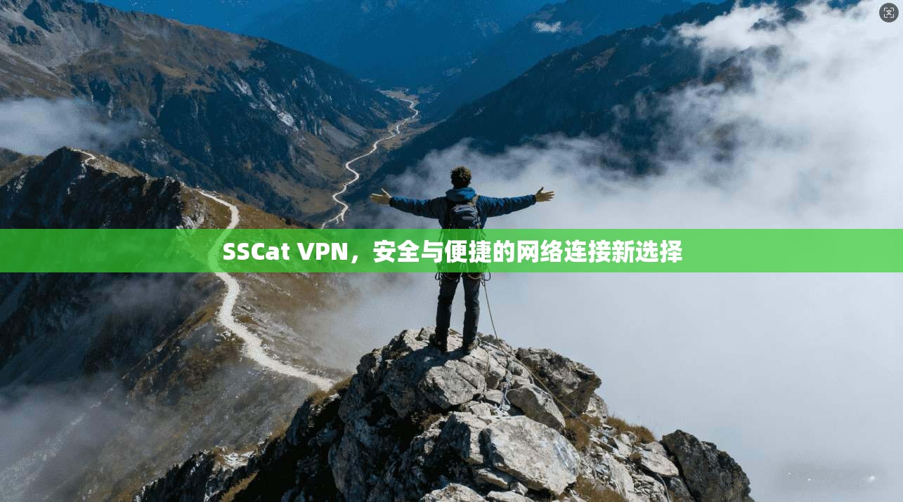 SSCat VPN，安全与便捷的网络连接新选择