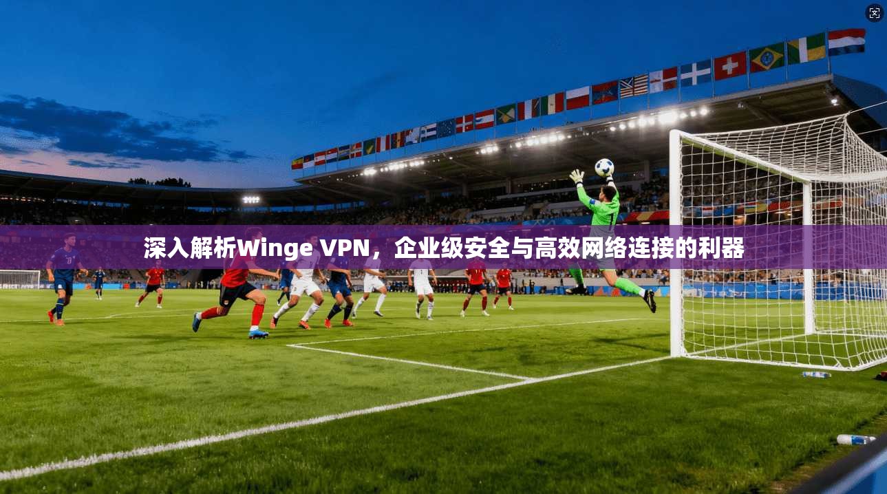 深入解析Winge VPN，企业级安全与高效网络连接的利器