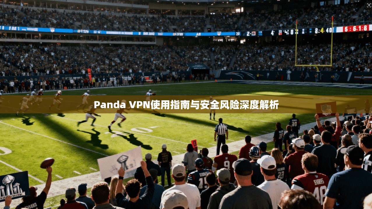 Panda VPN使用指南与安全风险深度解析