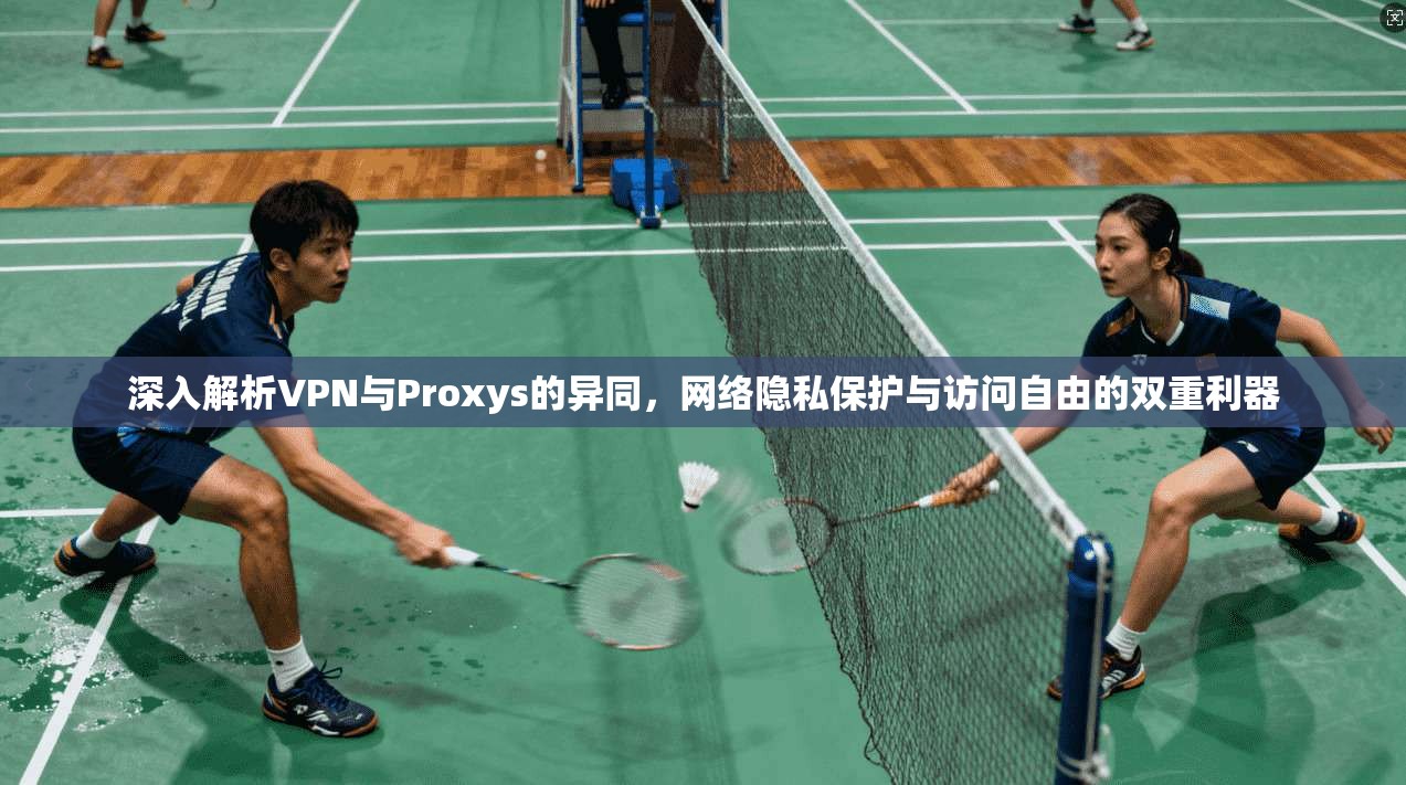 深入解析VPN与Proxys的异同，网络隐私保护与访问自由的双重利器