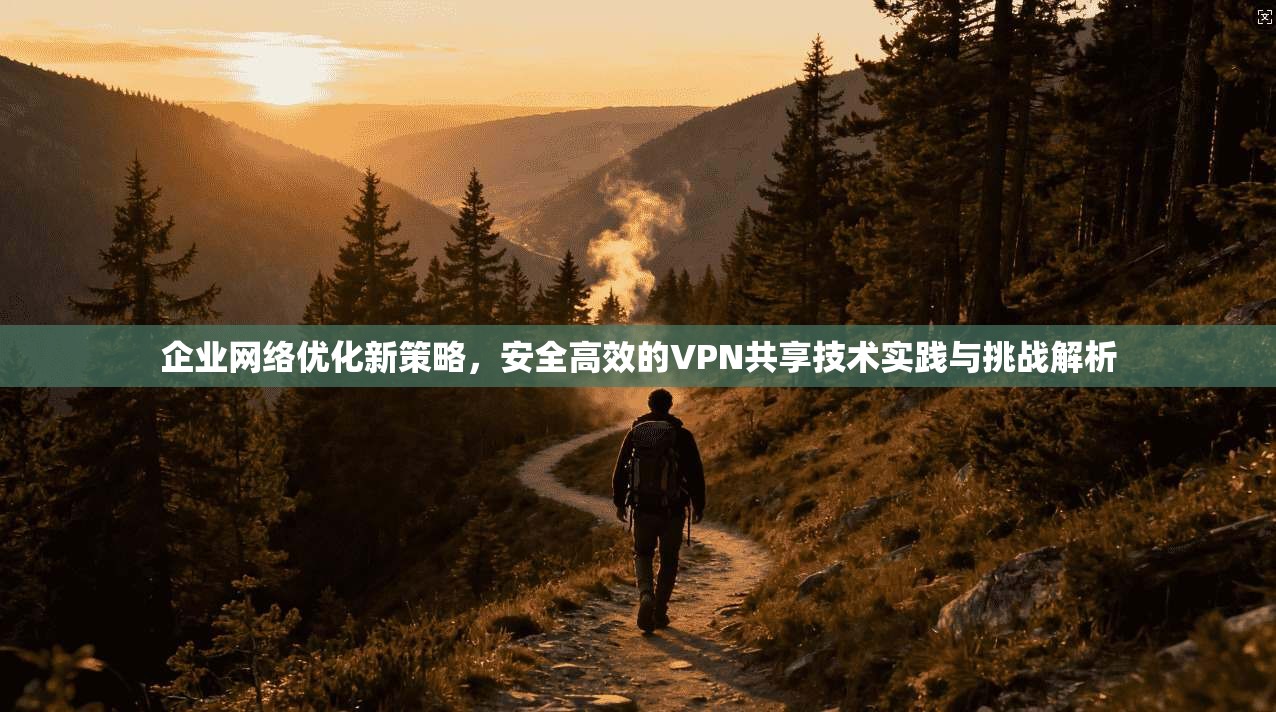 企业网络优化新策略，安全高效的VPN共享技术实践与挑战解析