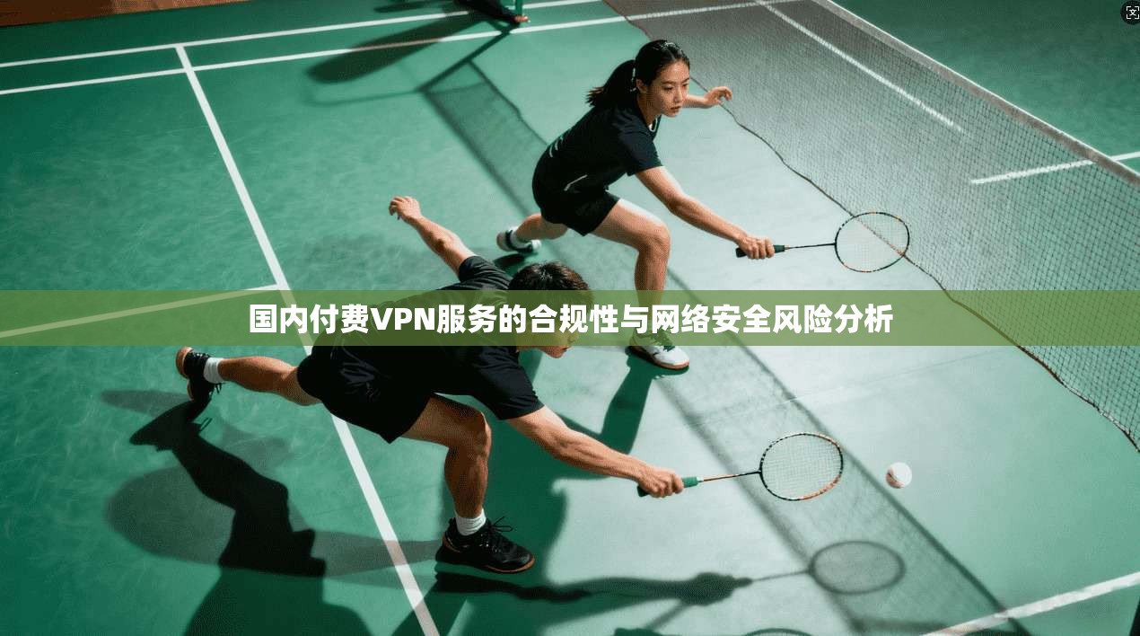 国内付费VPN服务的合规性与网络安全风险分析