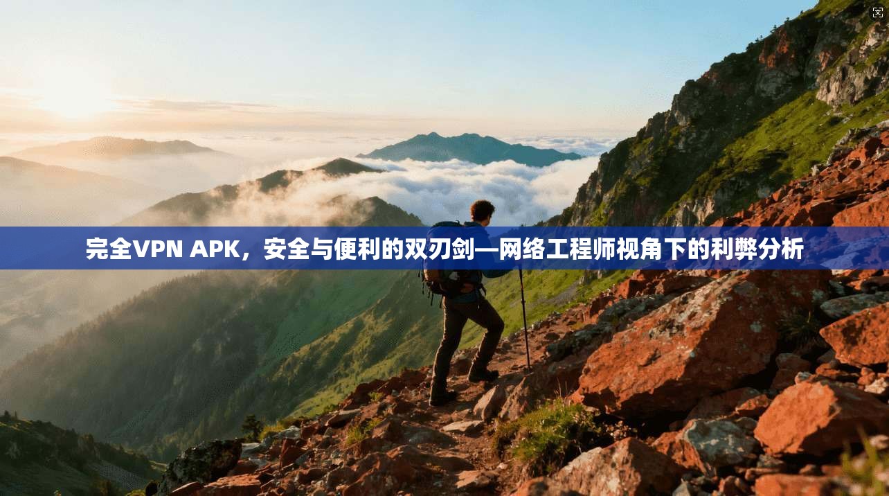 完全VPN APK，安全与便利的双刃剑—网络工程师视角下的利弊分析