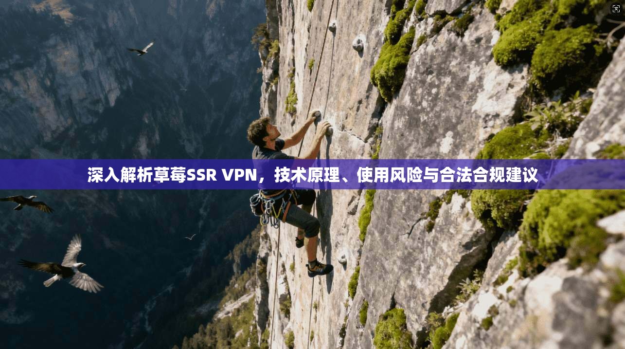 深入解析草莓SSR VPN，技术原理、使用风险与合法合规建议