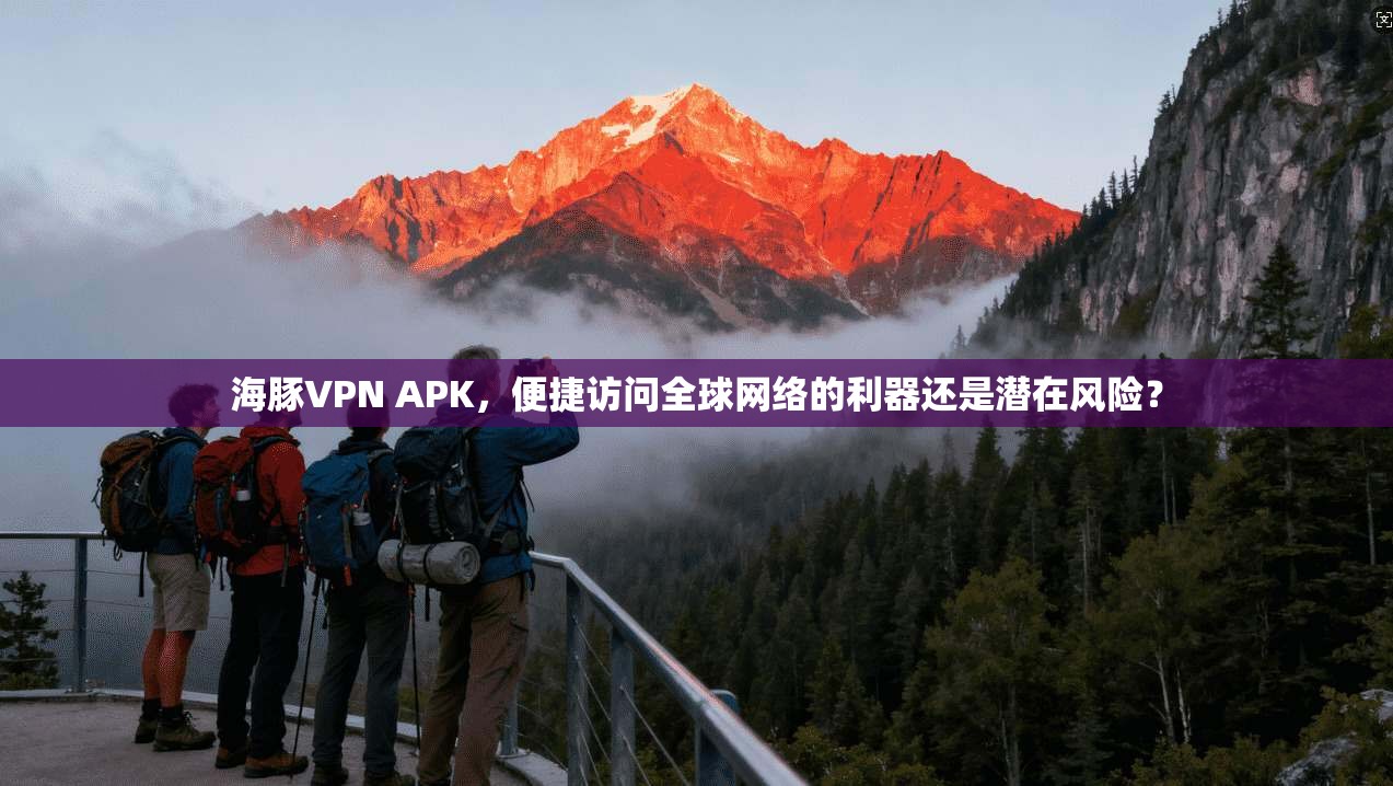 海豚VPN APK，便捷访问全球网络的利器还是潜在风险？