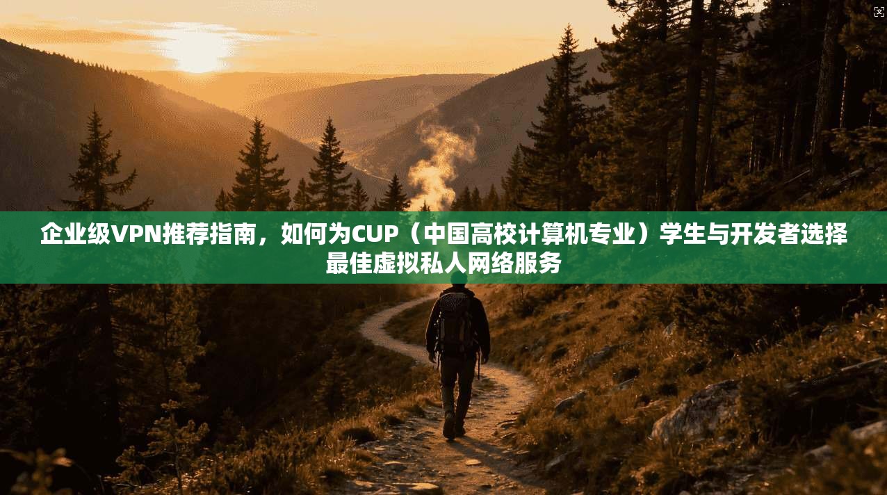 企业级VPN推荐指南，如何为CUP（中国高校计算机专业）学生与开发者选择最佳虚拟私人网络服务