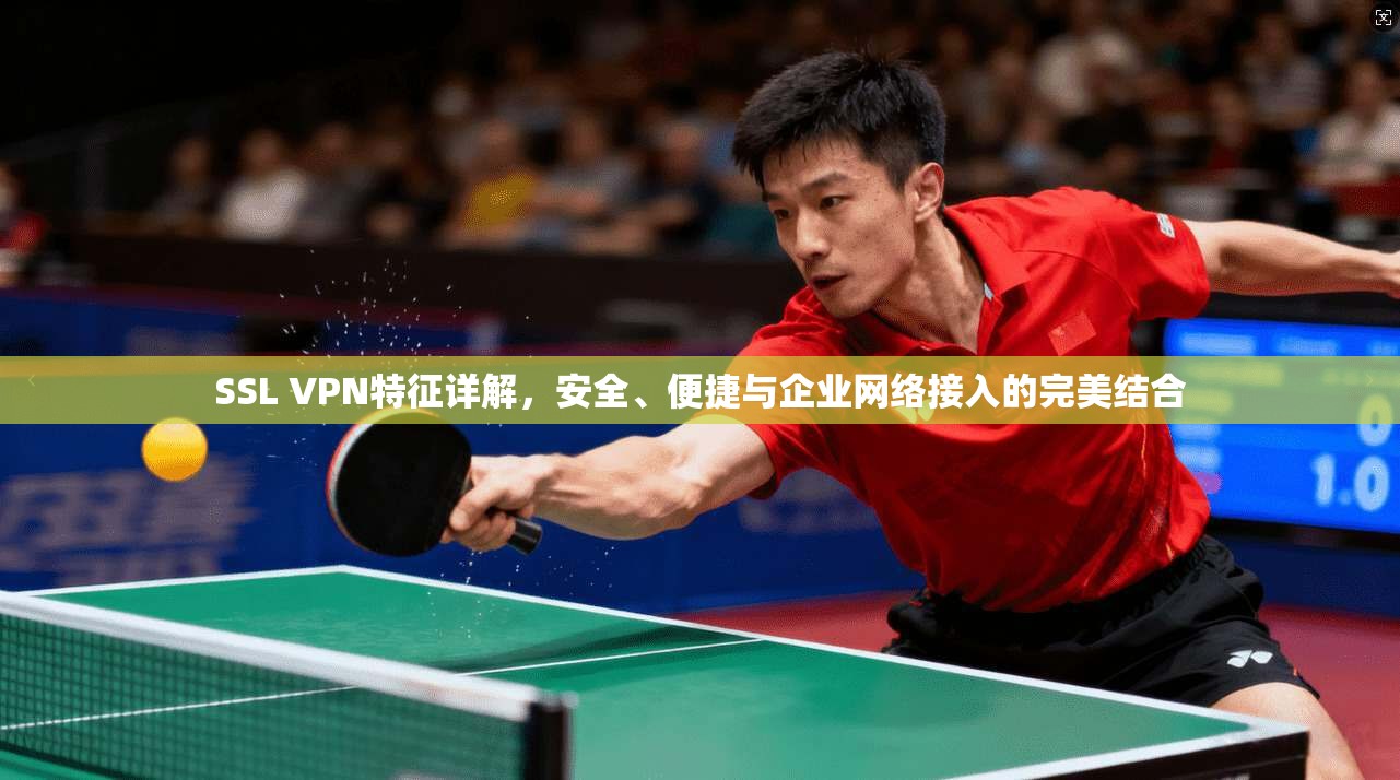 SSL VPN特征详解，安全、便捷与企业网络接入的完美结合