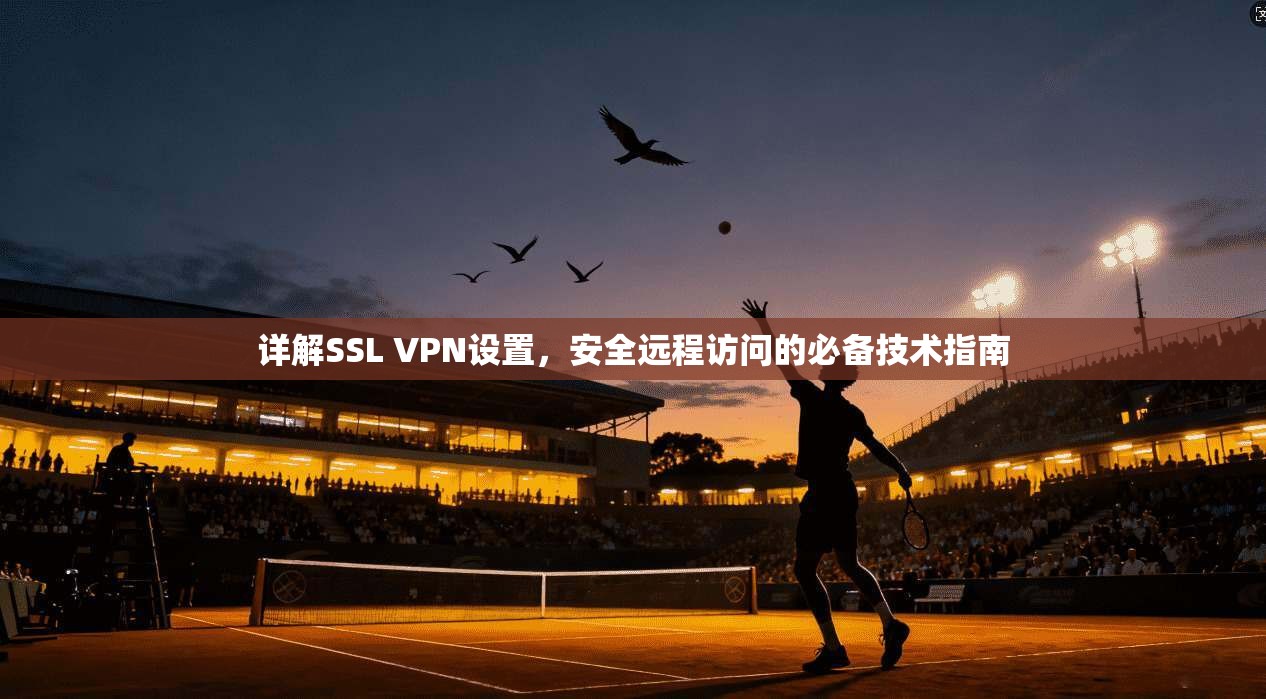 详解SSL VPN设置，安全远程访问的必备技术指南