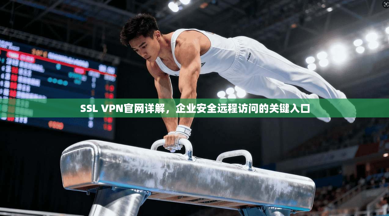 SSL VPN官网详解，企业安全远程访问的关键入口