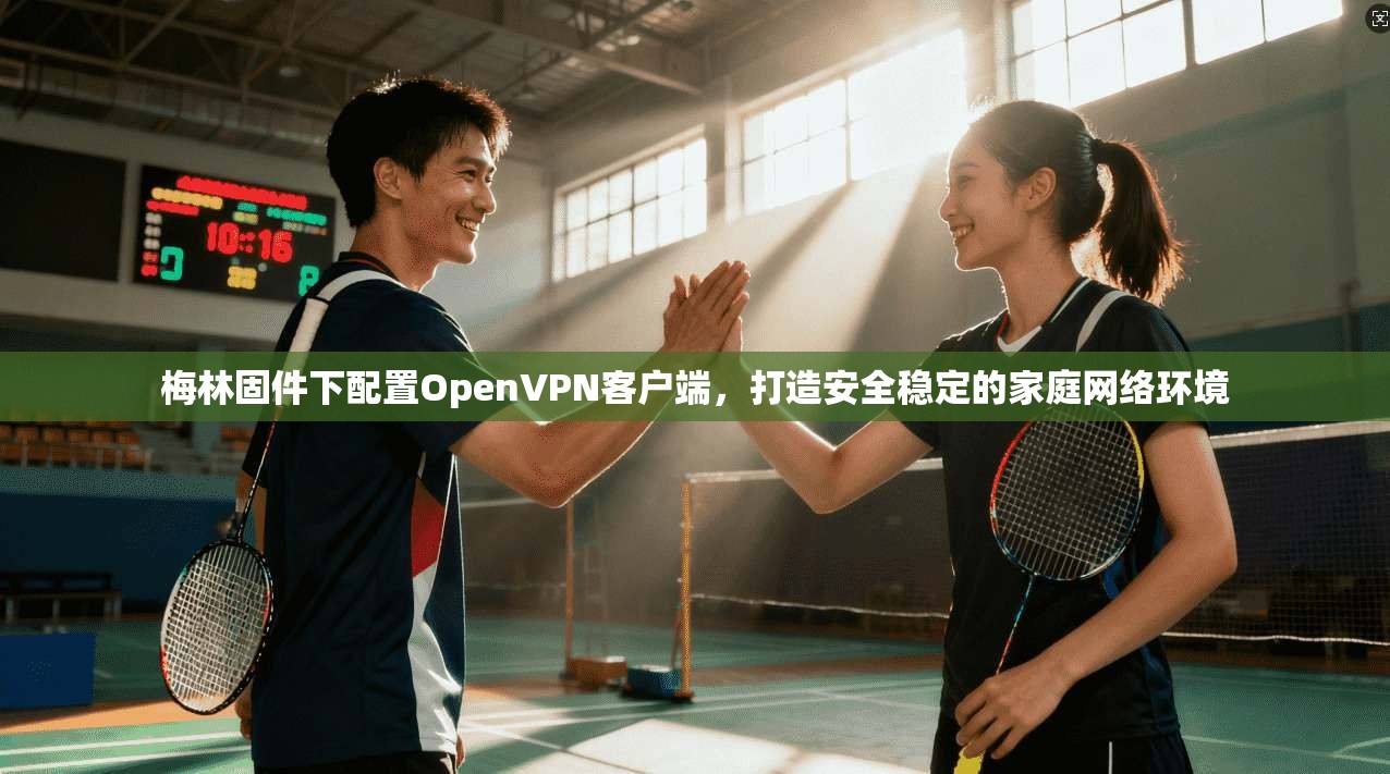 梅林固件下配置OpenVPN客户端，打造安全稳定的家庭网络环境