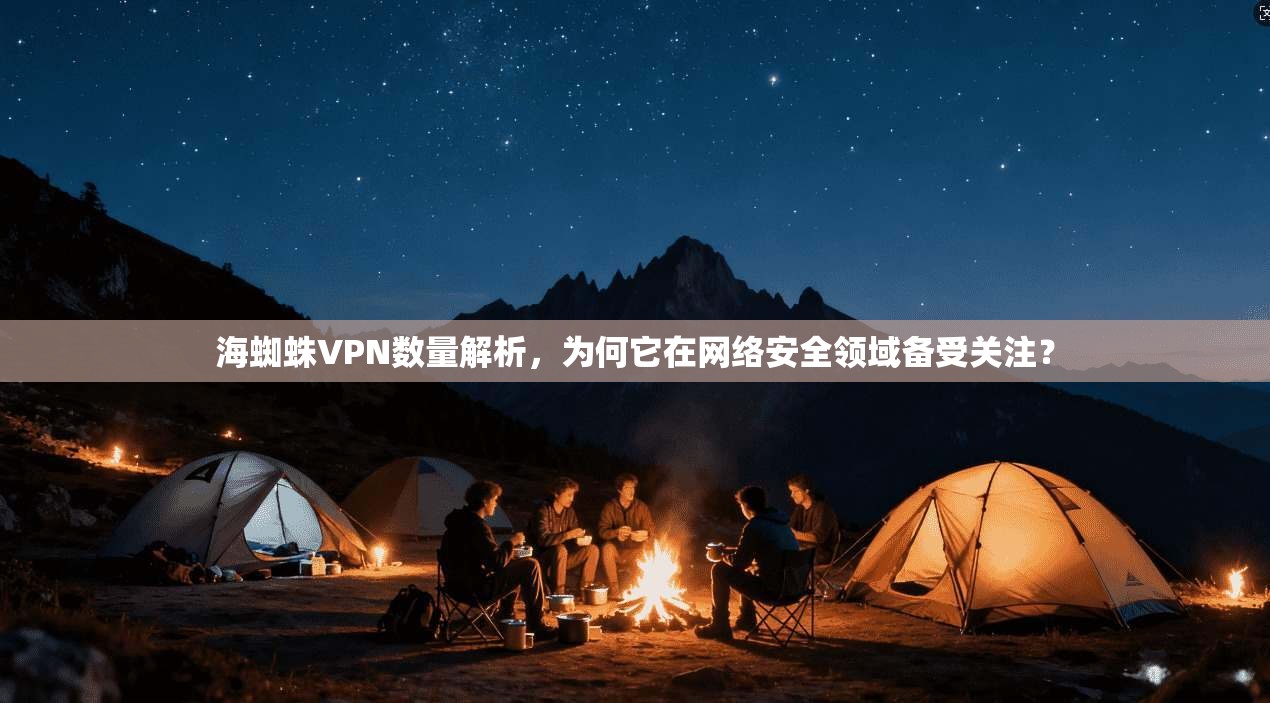 海蜘蛛VPN数量解析，为何它在网络安全领域备受关注？