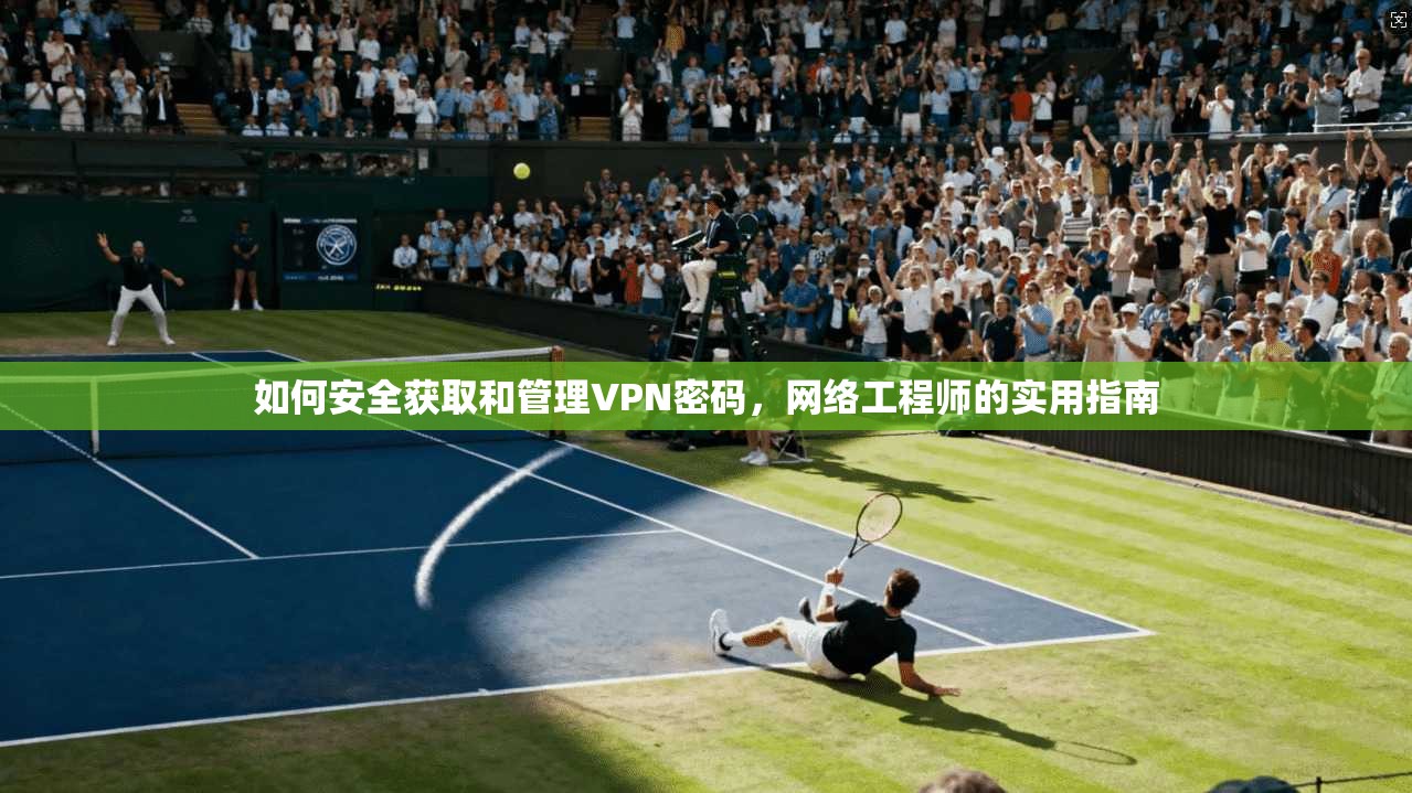 如何安全获取和管理VPN密码，网络工程师的实用指南