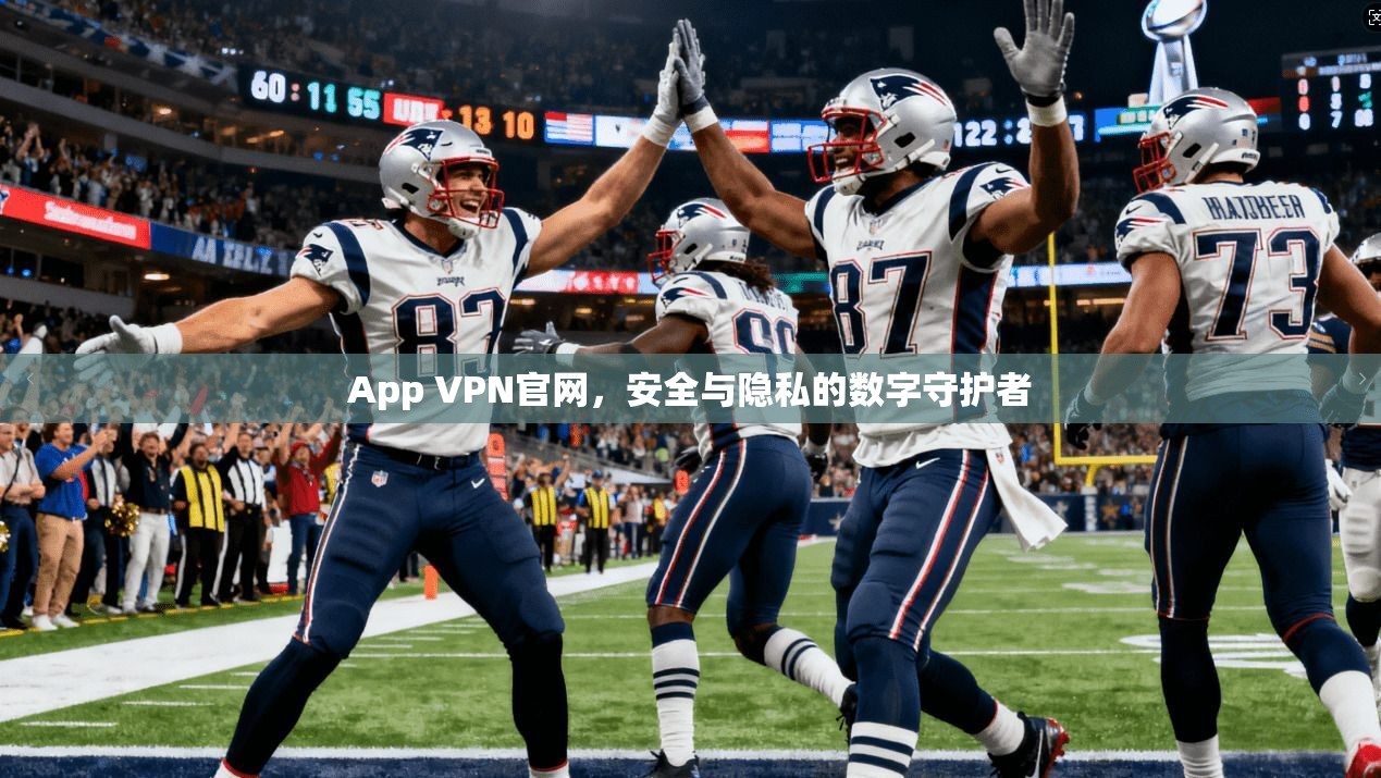 App VPN官网，安全与隐私的数字守护者