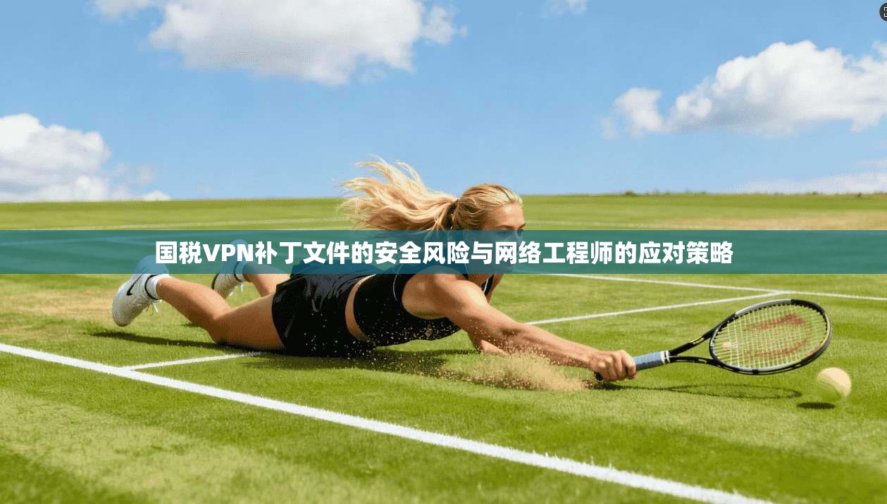 国税VPN补丁文件的安全风险与网络工程师的应对策略