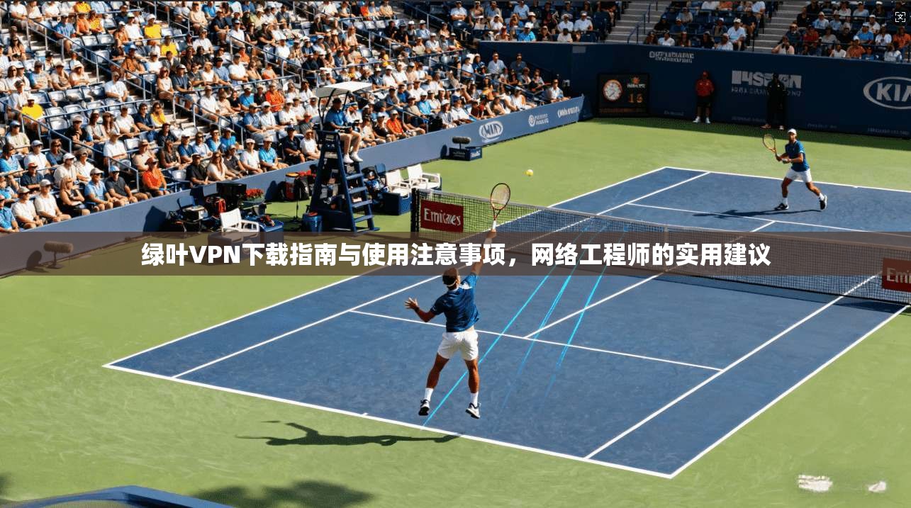 绿叶VPN下载指南与使用注意事项，网络工程师的实用建议
