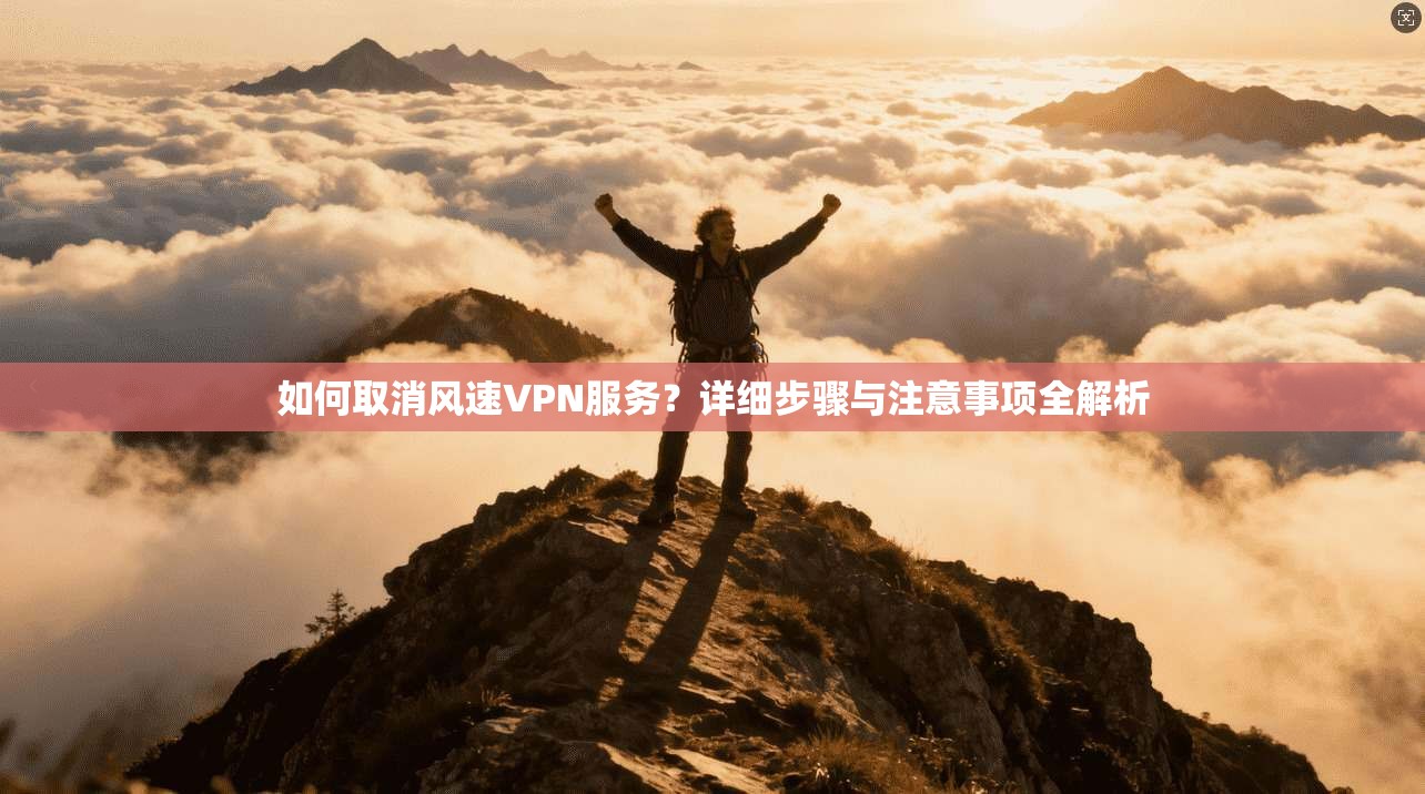 如何取消风速VPN服务？详细步骤与注意事项全解析