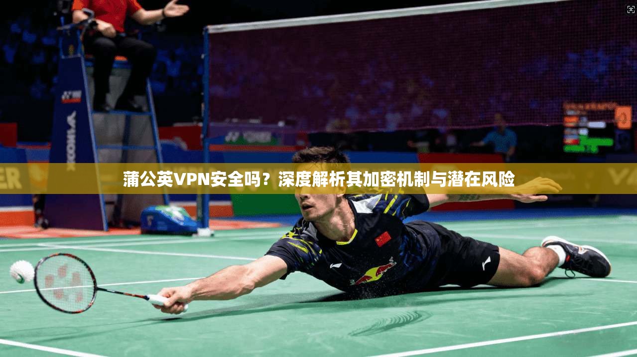 蒲公英VPN安全吗？深度解析其加密机制与潜在风险