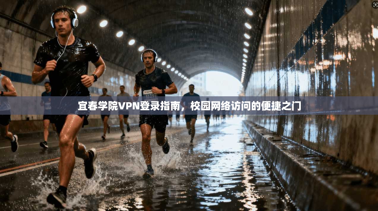 宜春学院VPN登录指南，校园网络访问的便捷之门