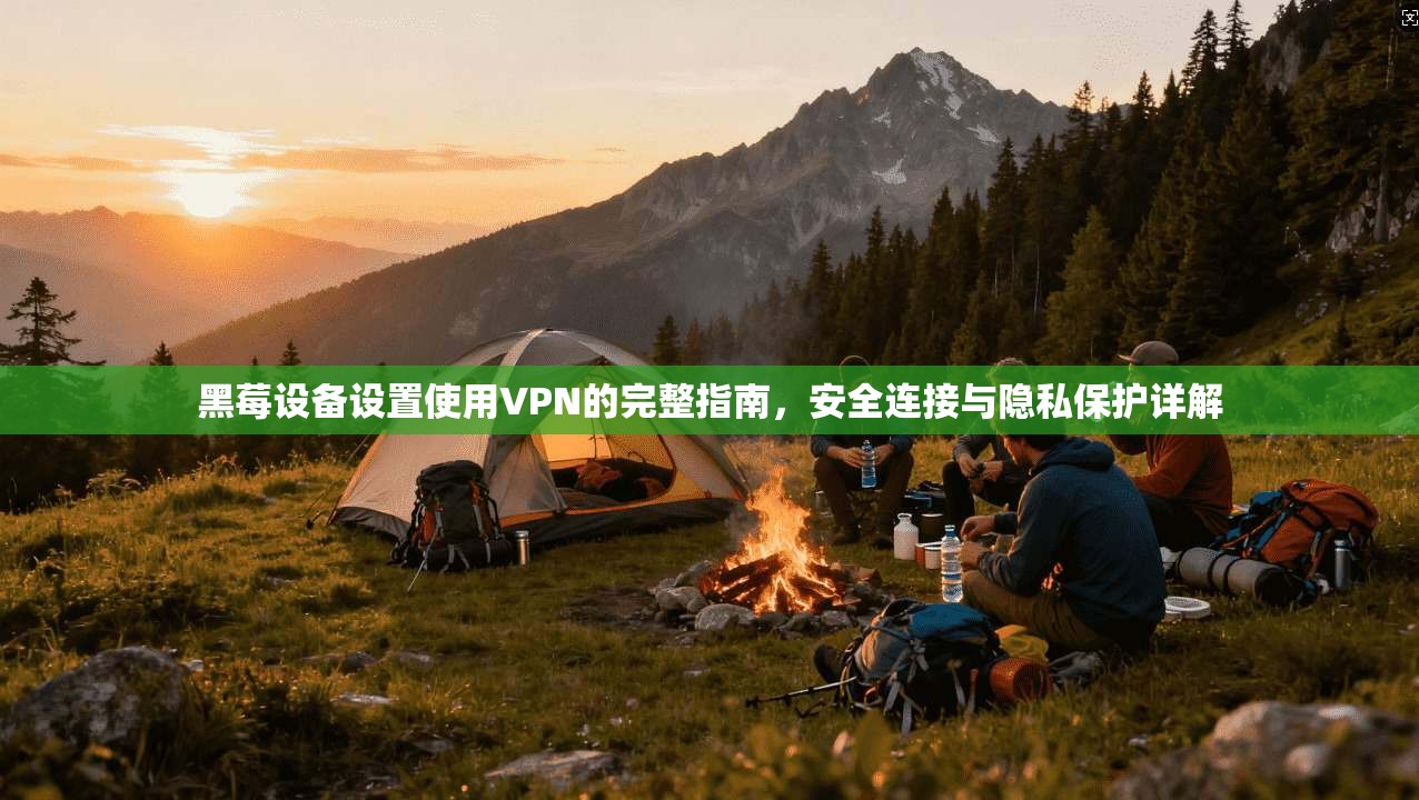 黑莓设备设置使用VPN的完整指南，安全连接与隐私保护详解
