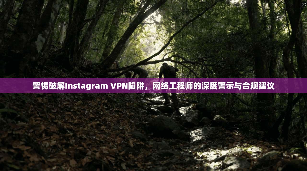 警惕破解Instagram VPN陷阱，网络工程师的深度警示与合规建议