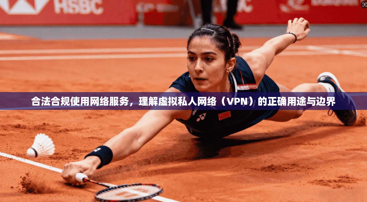 合法合规使用网络服务，理解虚拟私人网络（VPN）的正确用途与边界