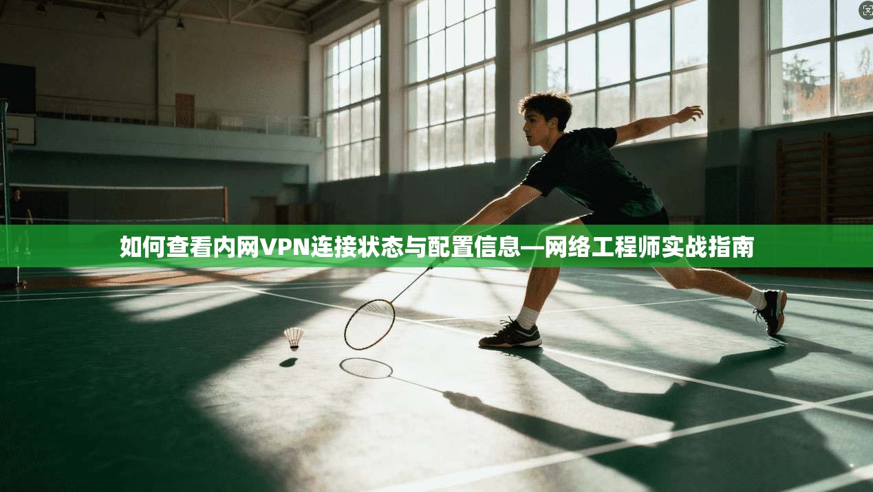 如何查看内网VPN连接状态与配置信息—网络工程师实战指南