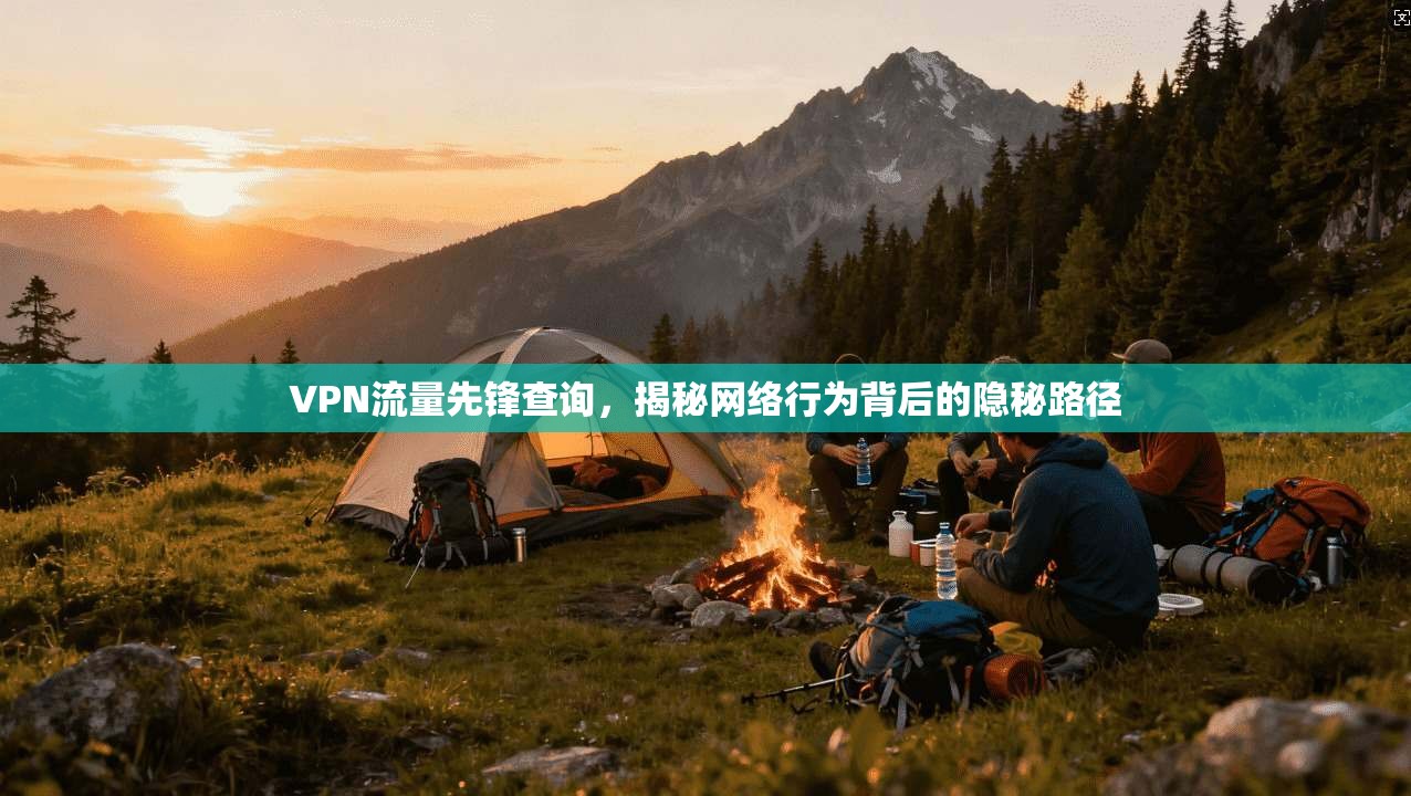 VPN流量先锋查询，揭秘网络行为背后的隐秘路径