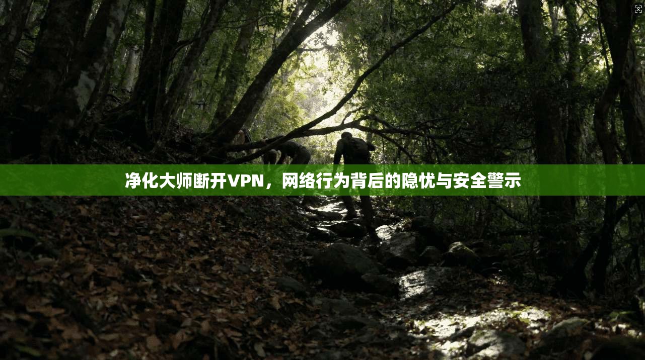 净化大师断开VPN，网络行为背后的隐忧与安全警示