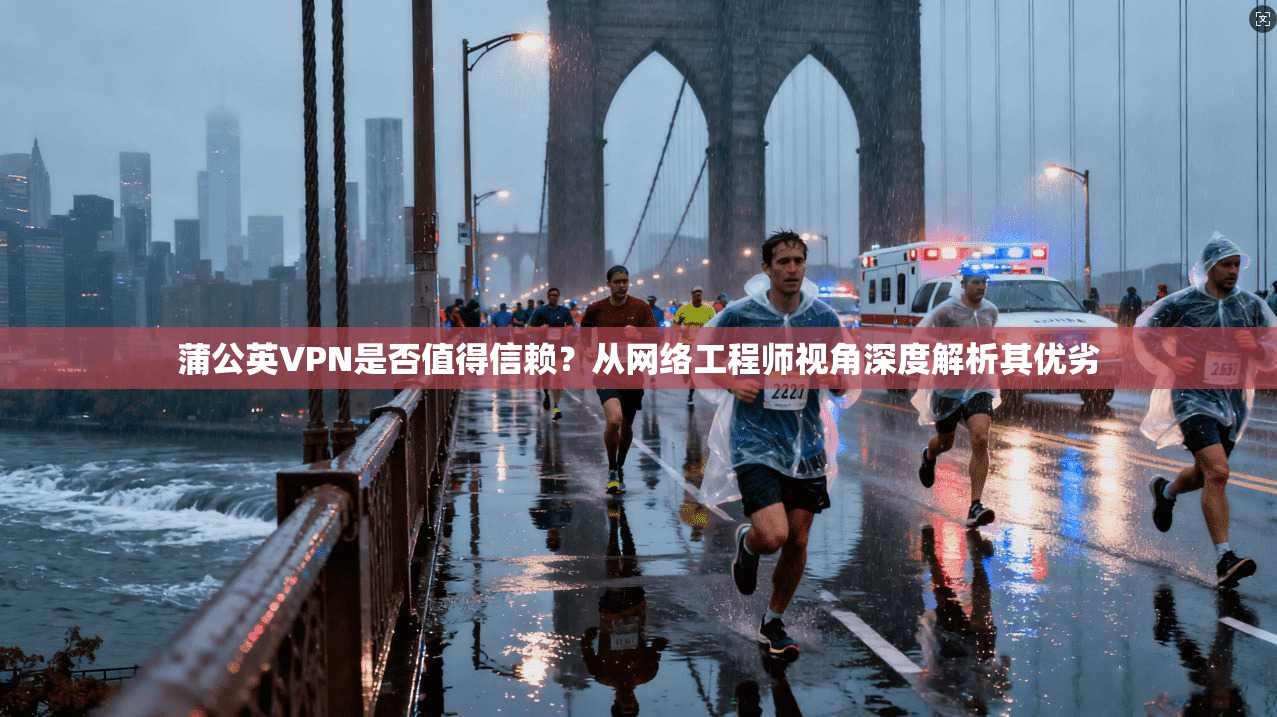 蒲公英VPN是否值得信赖？从网络工程师视角深度解析其优劣