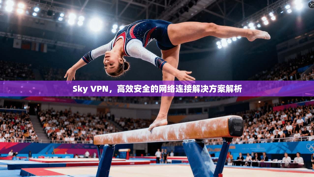 Sky VPN，高效安全的网络连接解决方案解析