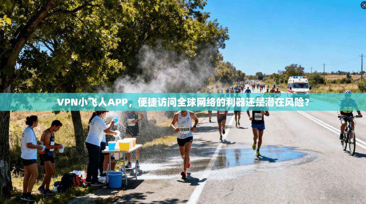 VPN小飞人APP，便捷访问全球网络的利器还是潜在风险？