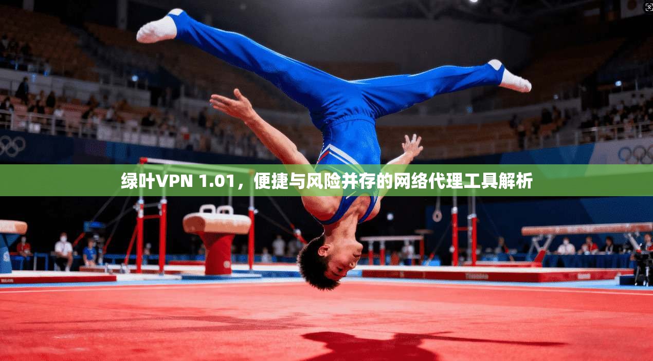 绿叶VPN 1.01，便捷与风险并存的网络代理工具解析