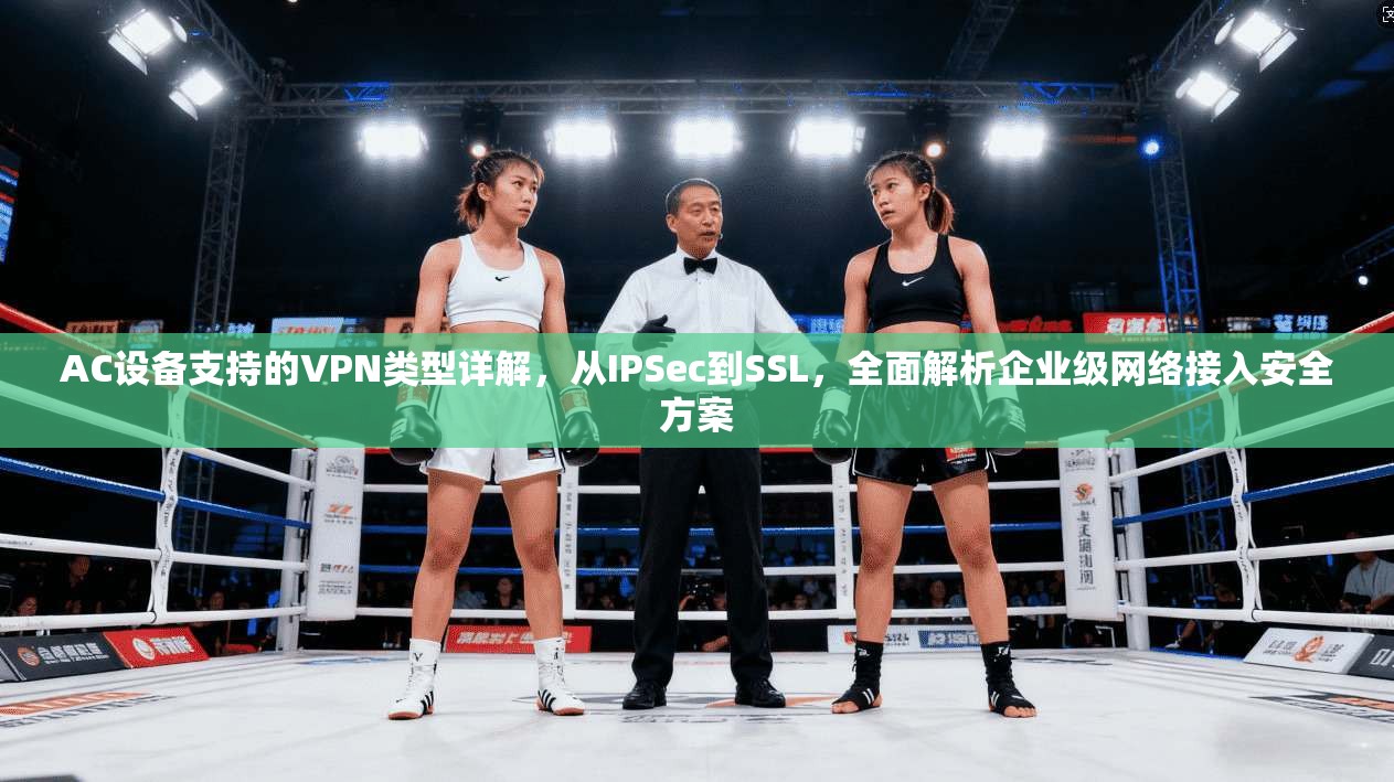 AC设备支持的VPN类型详解，从IPSec到SSL，全面解析企业级网络接入安全方案
